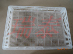 瑞泰大育雛框