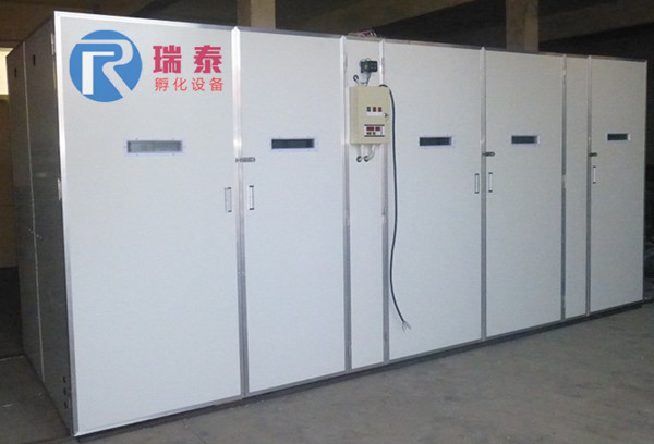 瑞泰孵化24640枚大型孵化機(jī)