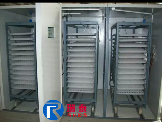 瑞泰12672枚大型孵化機
