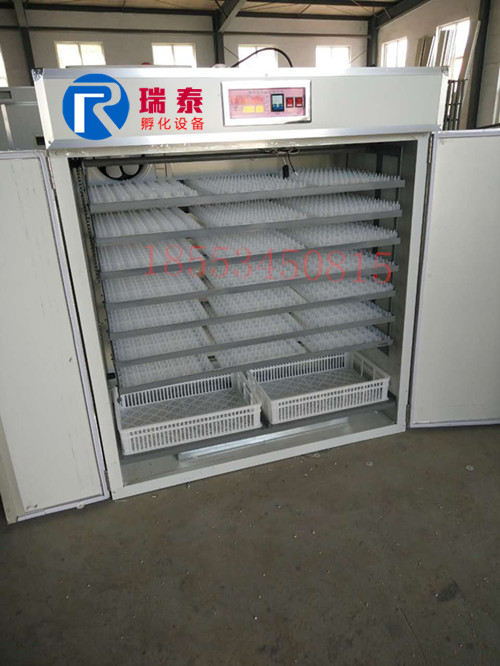1848枚中型孵化機