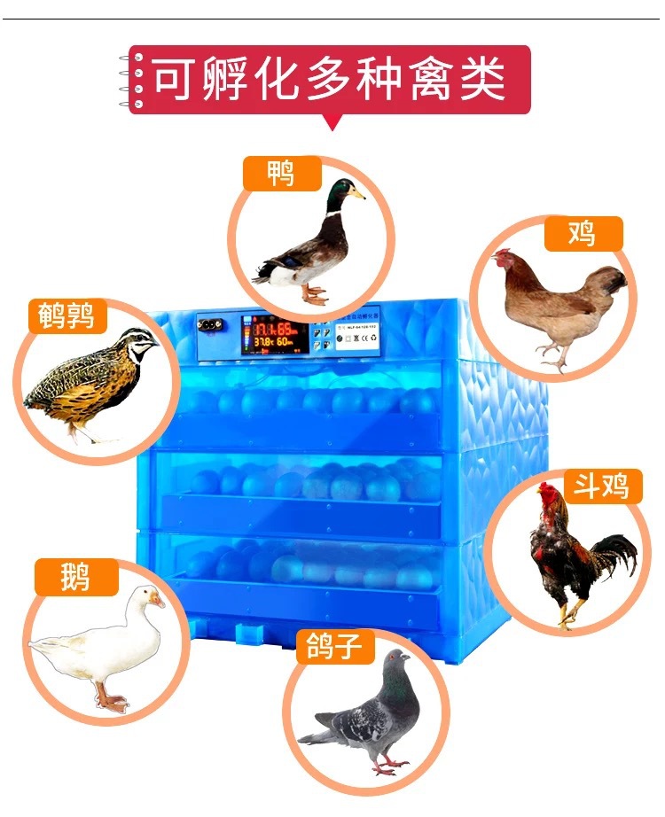 128枚通用型全自動孵化機